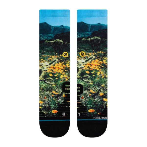 Stance x National Geographic Poppy Trails Black