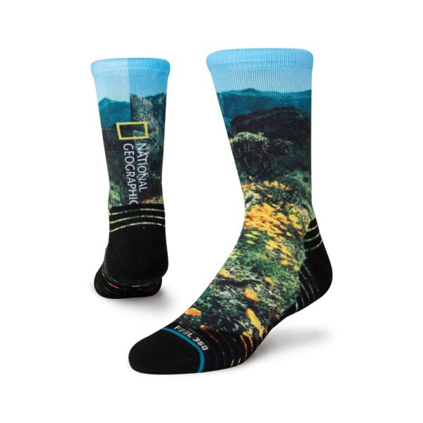 Stance x National Geographic Poppy Trails Black