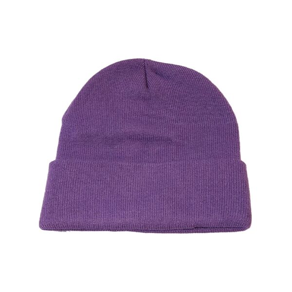 24 Colours Purple Beanie
