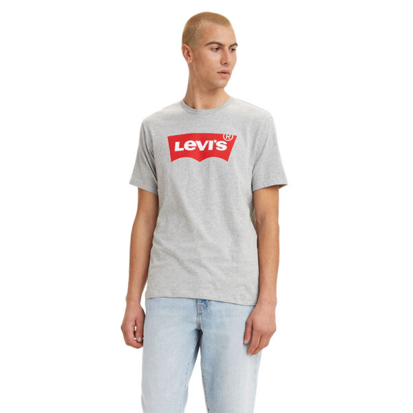 Levi's Graphics Set In T-Shirt Grey