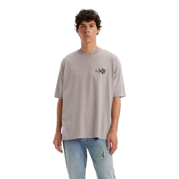 Levi's Skateboarding Graphic Boxy T-Shirt Grey