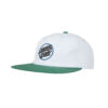 Santa Cruz Breaker Opus Unisex Cap Light Grey Green