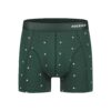 Pockies Boxer Daisy Briefs Green