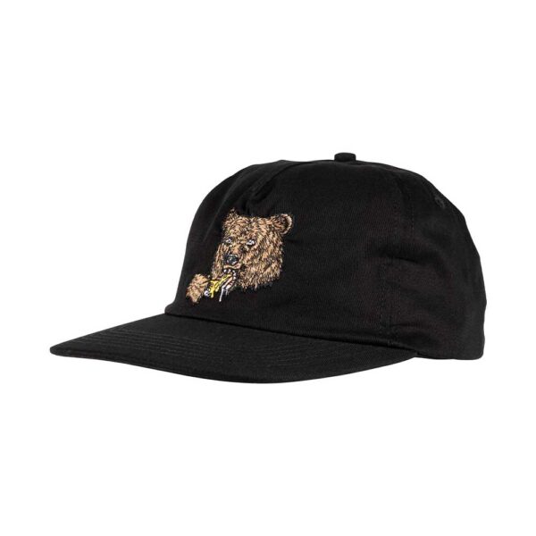 Santa Cruz Braun Great Outdoors Snapback Black