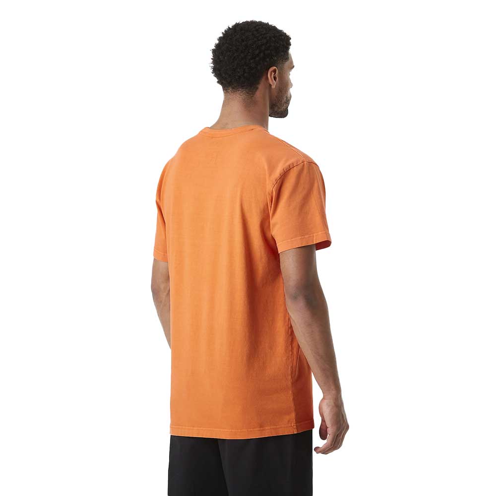 Picture Basement Leo T-Shirt Washed Dusty Orange - Image 3