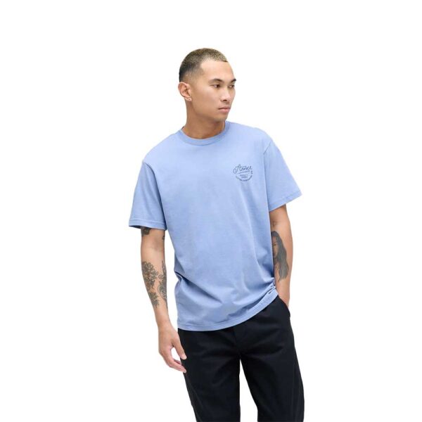 Stance Standard Issue T-Shirt Stone Blue