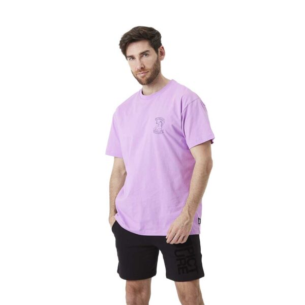 Picture Terra T-Shirt Sheer Lilac